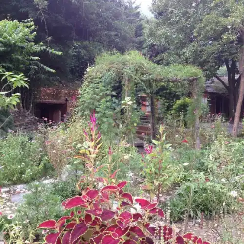 image - garden